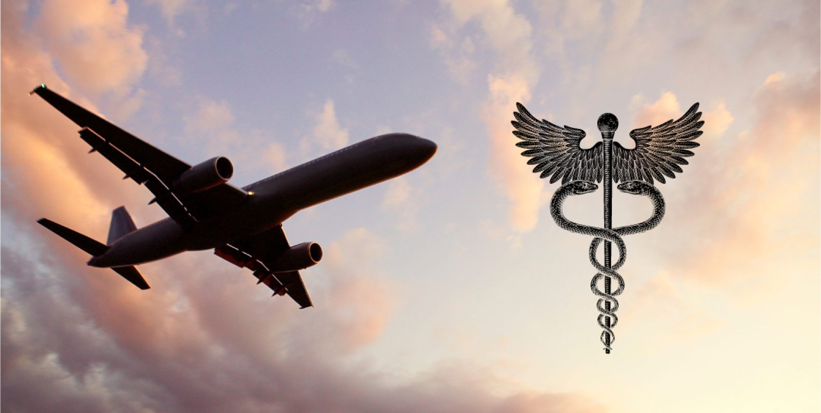 Plastic Surgery Roslyn Long Island